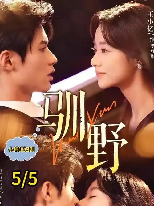 97影院现实题材短剧骑手的第九百单海报